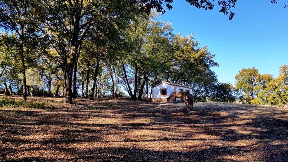 Finca La Liserilla ガラロサ エクステリア 写真
