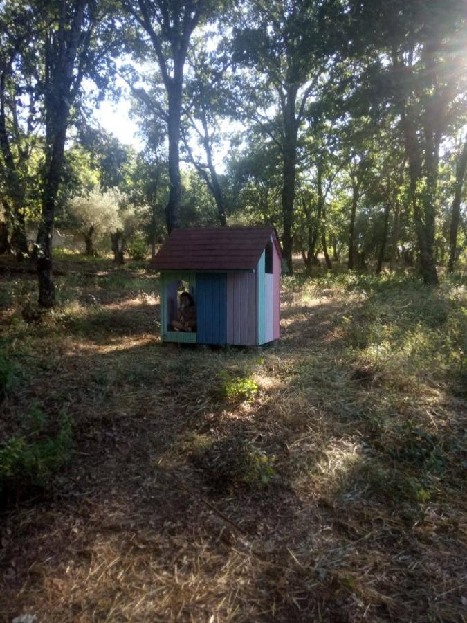 Finca La Liserilla ガラロサ エクステリア 写真