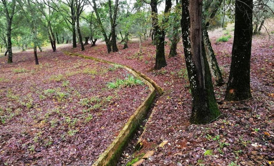 Finca La Liserilla ガラロサ エクステリア 写真